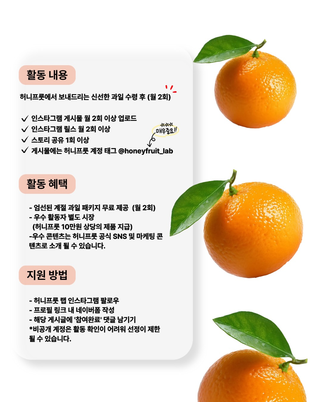 [허니프룻] 허니프룻 서포터즈 '허니즈' 1기 모집