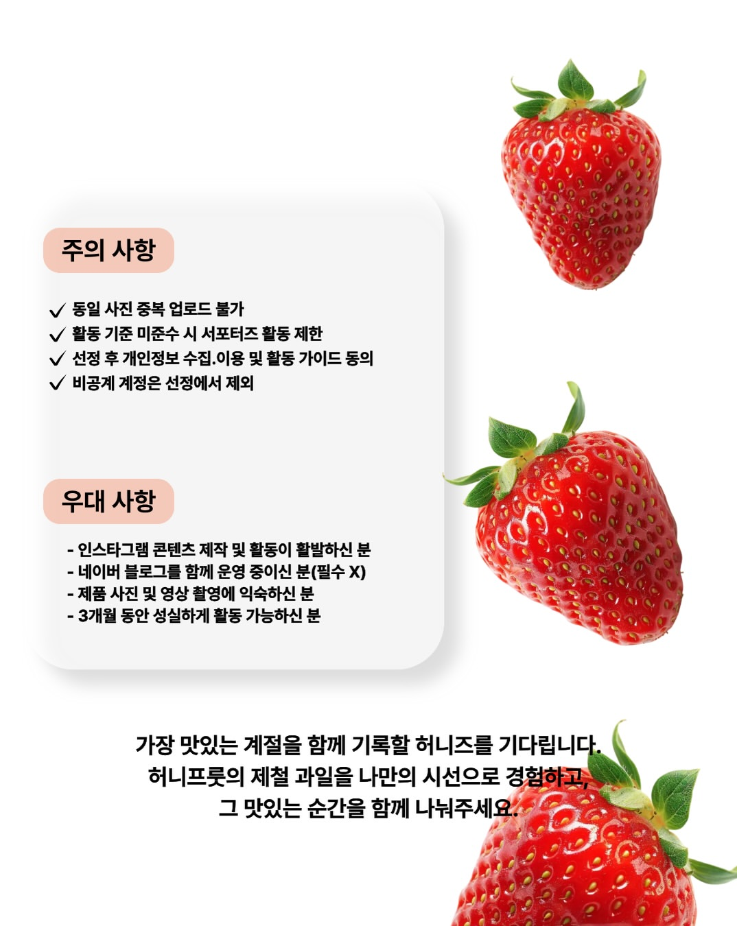 [허니프룻] 허니프룻 서포터즈 '허니즈' 1기 모집